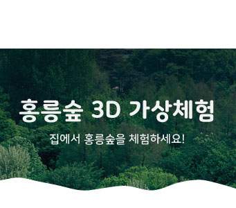 홍릉숲 3D 가상체험