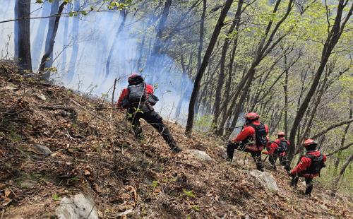 북부지방산림청, 청명·한식·식목일 기간 산불방지 총력 대응