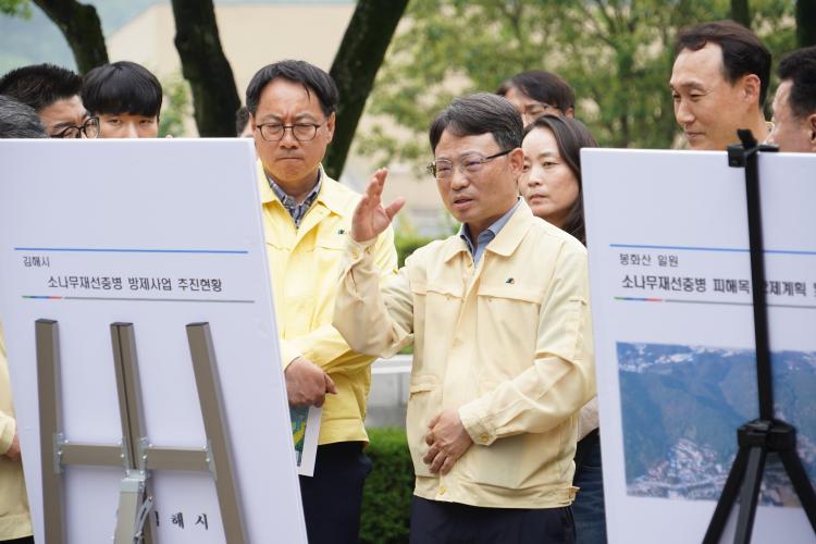 박은식 산림청장, 경남 김해 봉하마을 주변 소나무재선충병 방제 현장점검