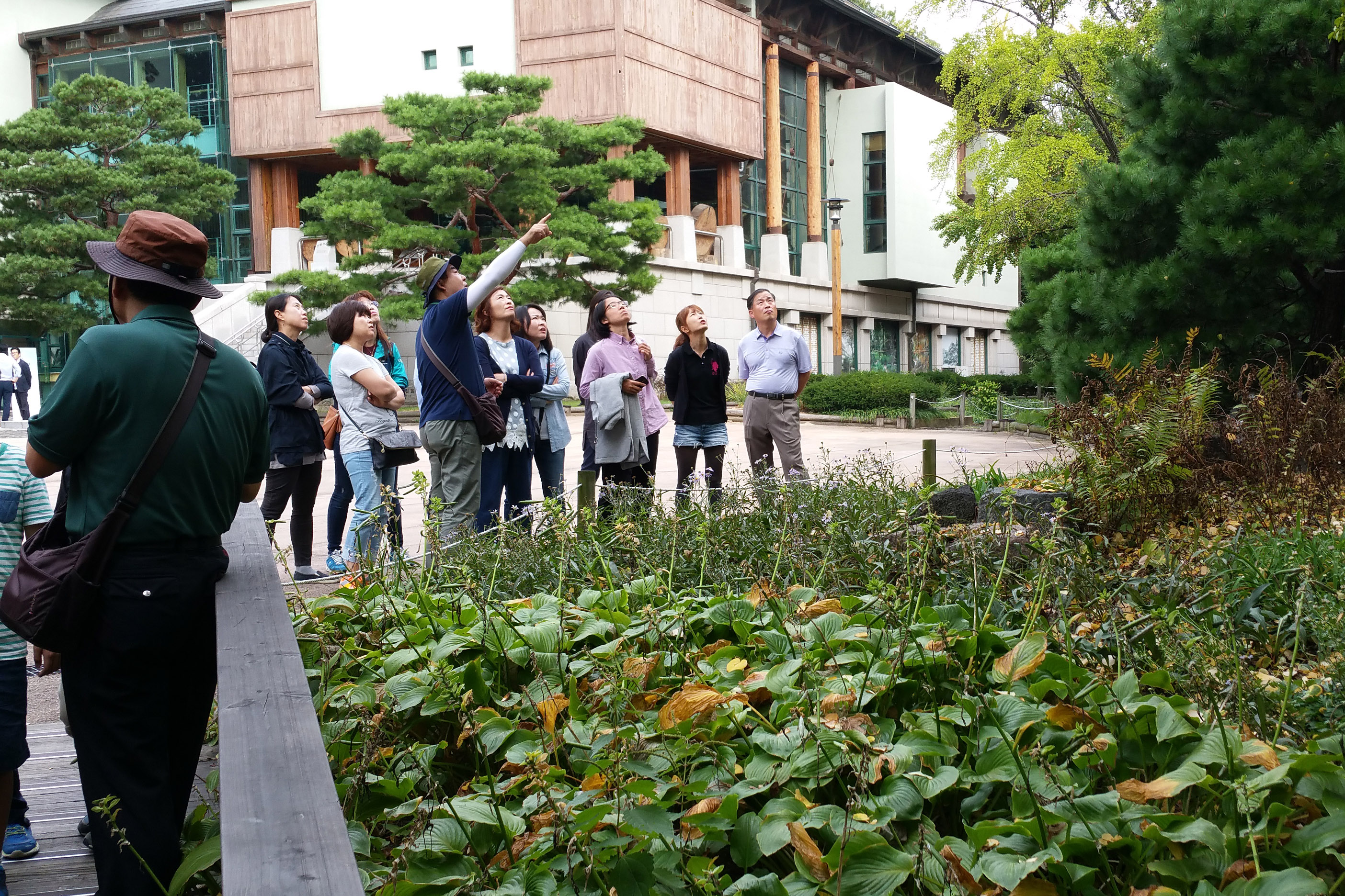 국민 수요를 반영한 ‘내산(山)내돈’ 산림교육 강좌 첫 개설 이미지2