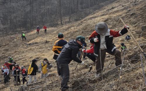 “나무 심고 탄소중립 실천”… 북부지방산림청, 식목일 행사 개최