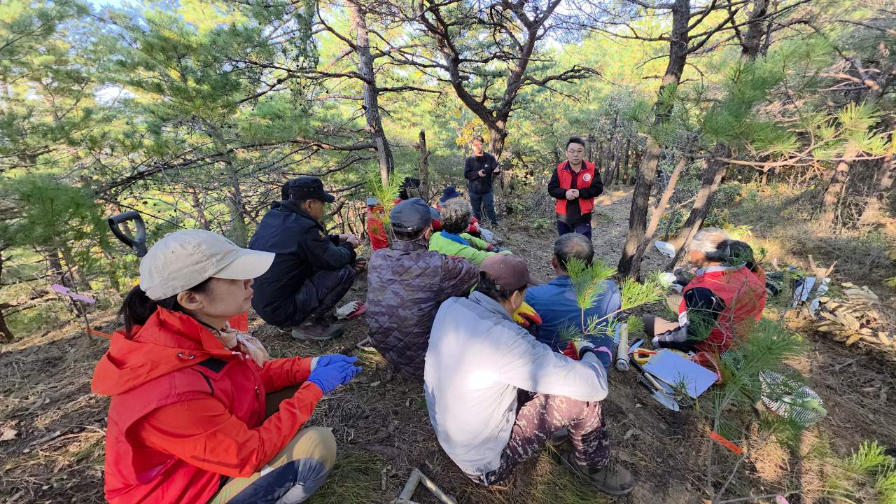민·관·연 협력 ‘산불피해지 송이산 복원’ 첫 삽! 이미지3