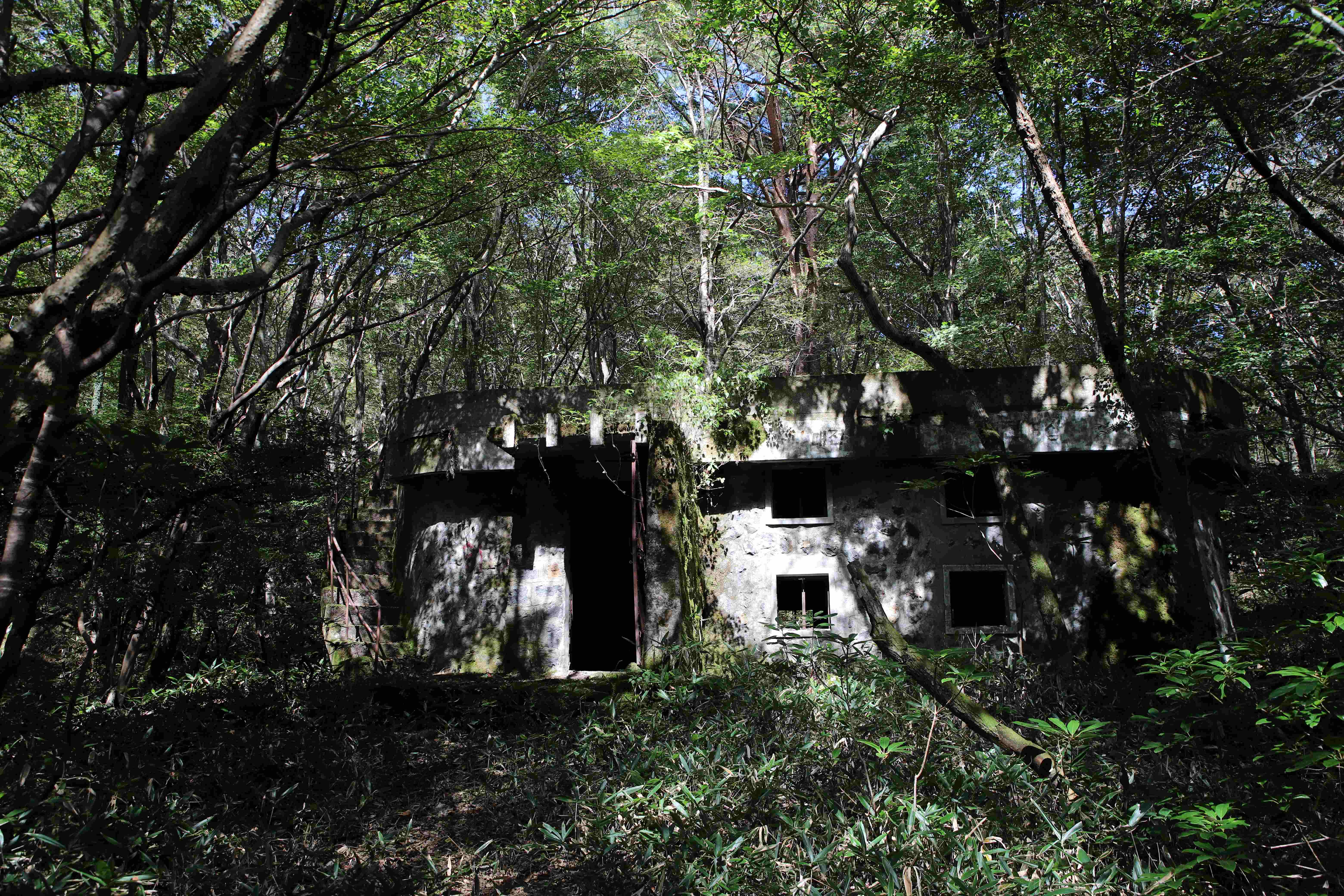 산림청, 2025년 국가산림문화자산 신규 지정