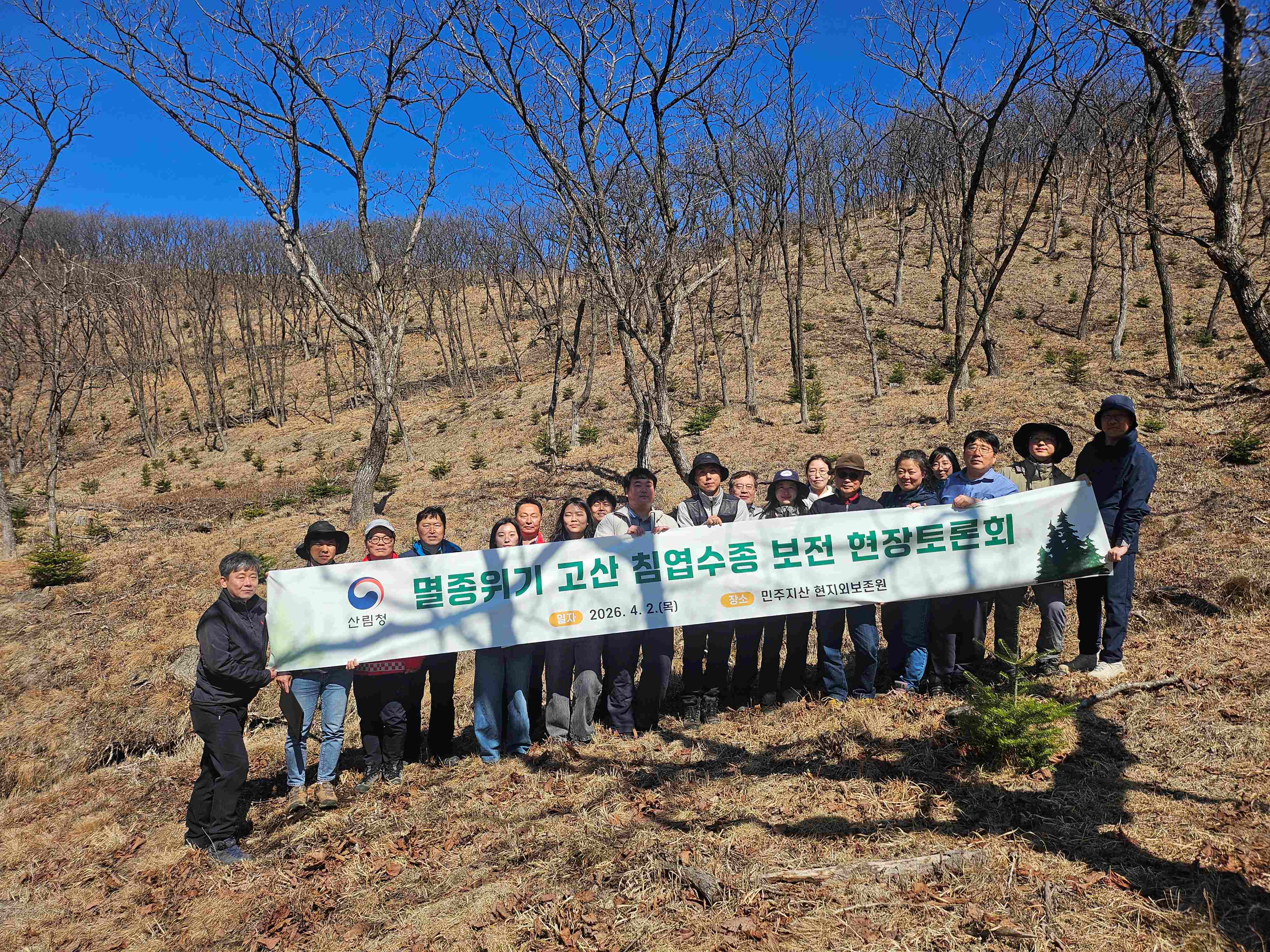 멸종위기 구상나무 체계적 보전 위해 한뜻 모아