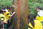 어린이 산림체험 학습 기회