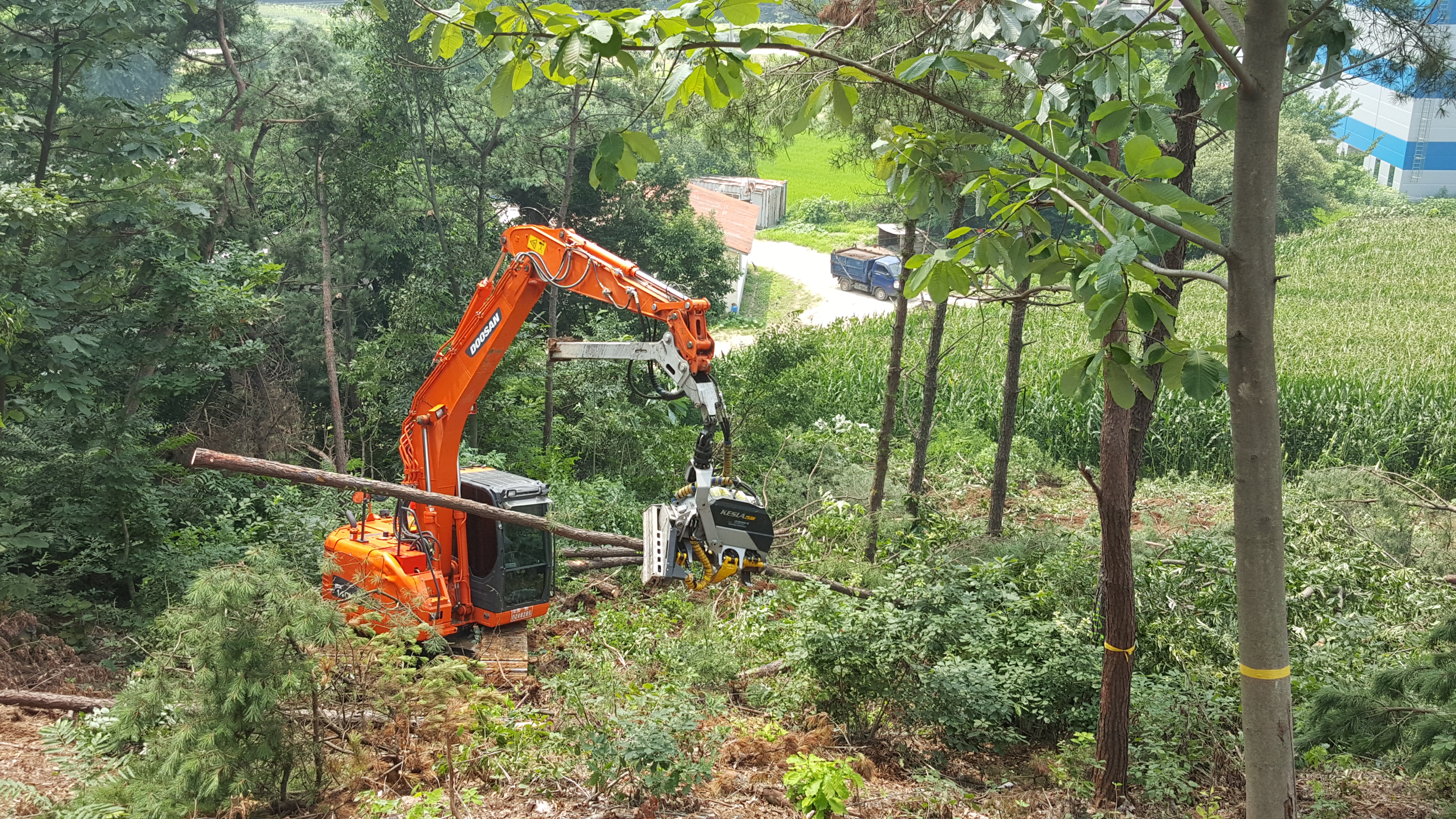 산림산업을 명확히 규정하는 산림산업 특수분류 제정 이미지2