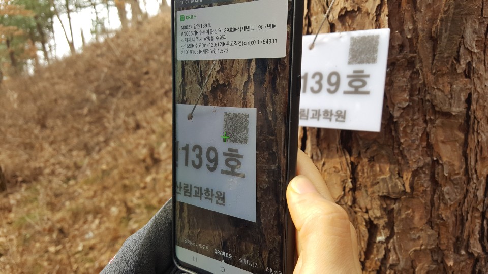 나무도 정보무늬(QR 코드)로 관리한다 이미지1