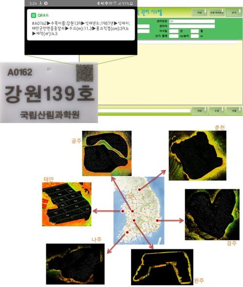 나무도 정보무늬(QR 코드)로 관리한다 이미지3