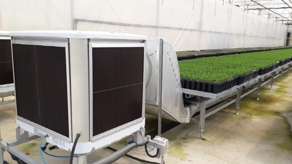 뿌리 생장점 집중형 온실 냉방시스템