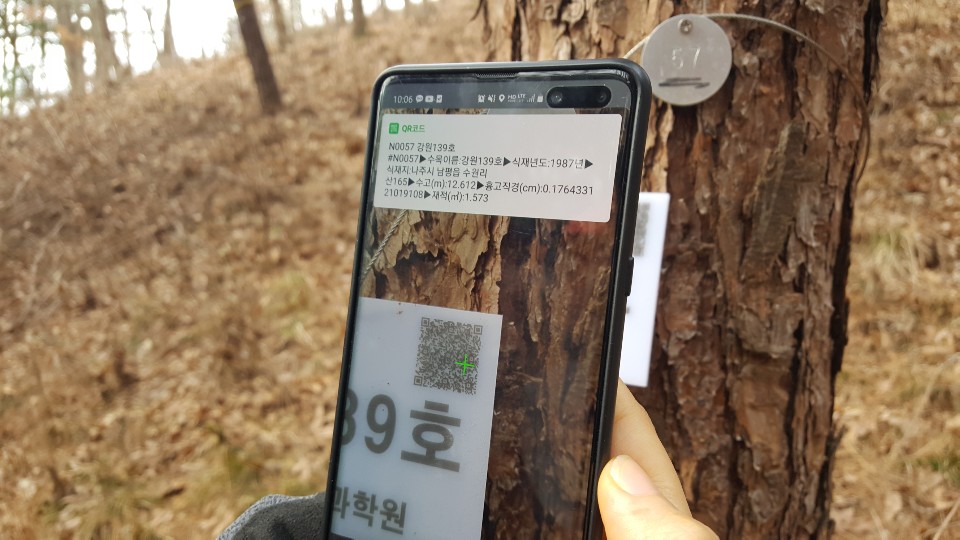 국립산림과학원, DNA 바코드로 나무를 관리한다 이미지1