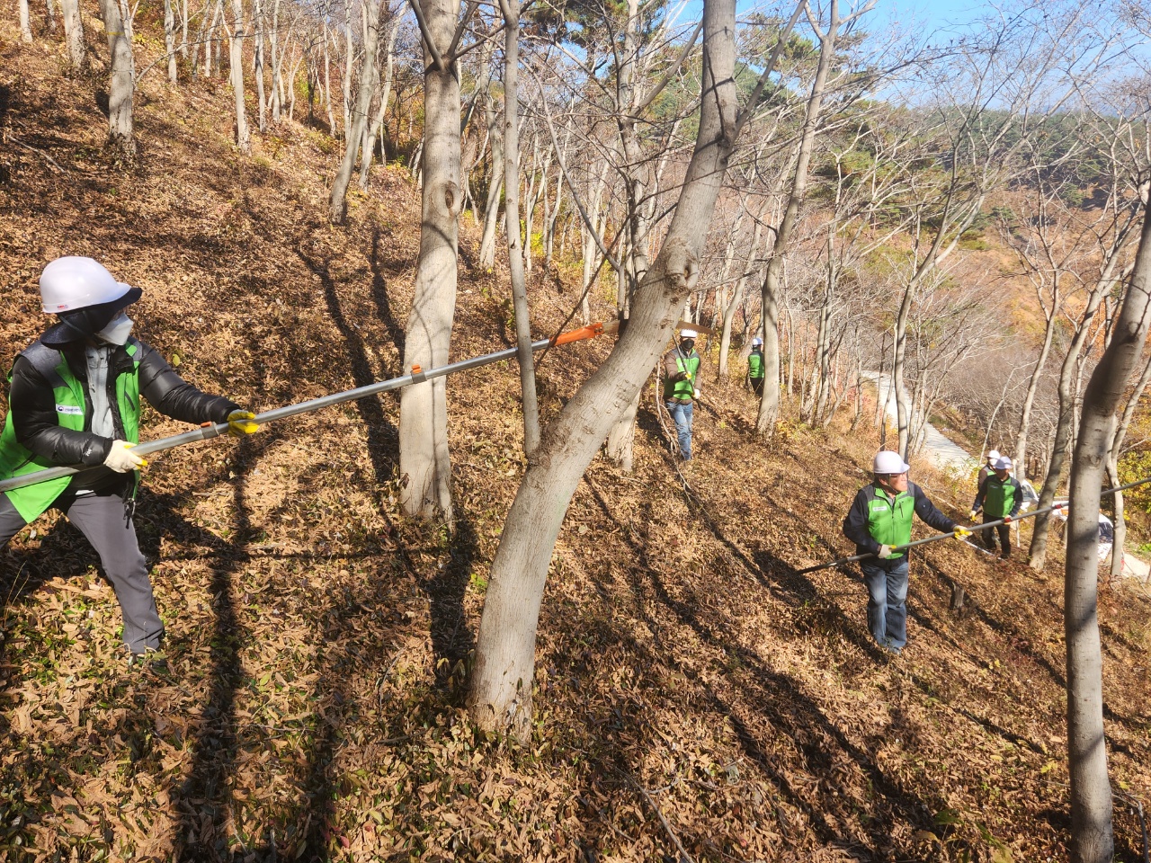 산림바이오소재연구소, 건강한 숲을 위한 숲가꾸기 체험행사 개최 이미지3