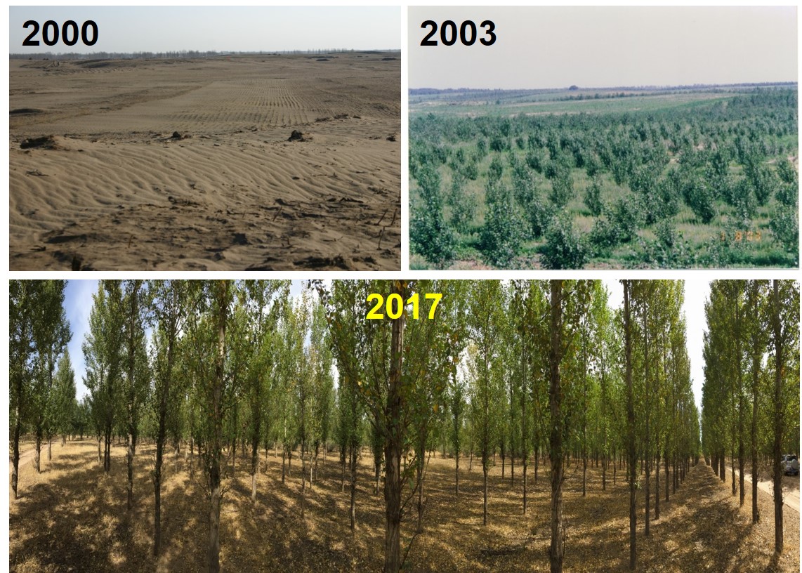 사막화 공동연구와 국제협력으로 막아낸다 이미지2