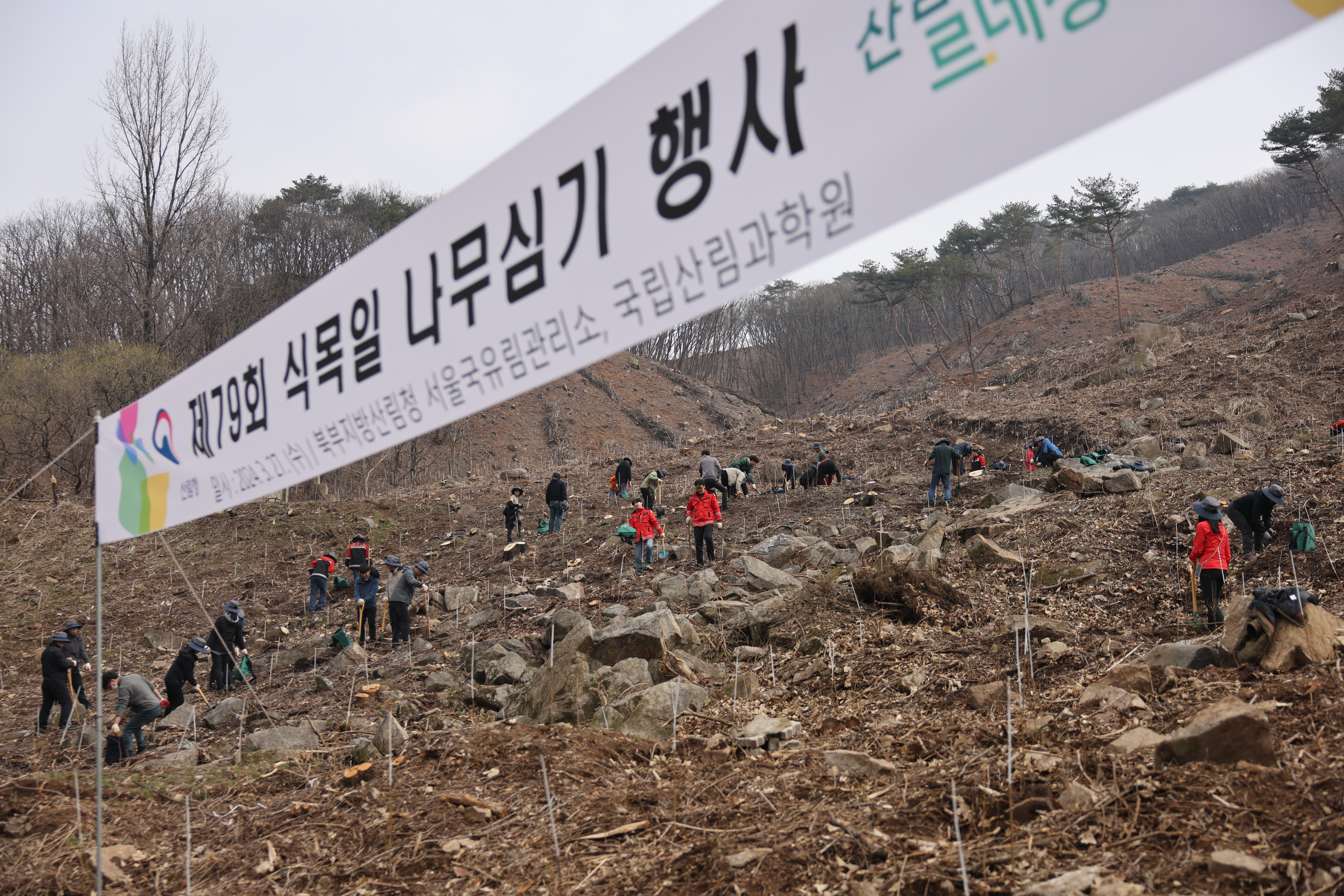 국립산림과학원의 기후행동, 온실가스 흡수를 위한 나무심기 행사 개최 이미지2