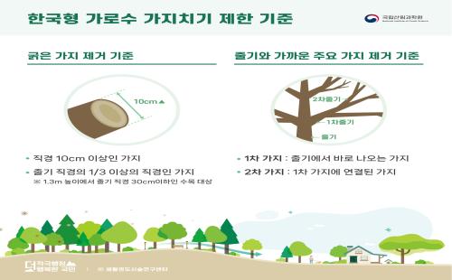 국내 실정에 맞는 가로수 가지치기 기준으로 현장 실효성 높인다!