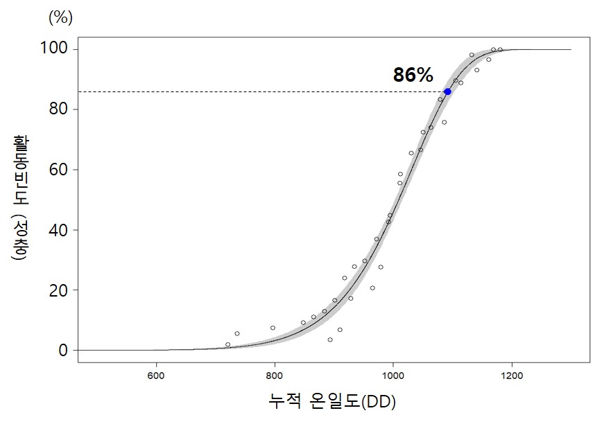 국립산림과학원, ‘러브버그’ 활동 7월 초 대부분 종료 전망 이미지2